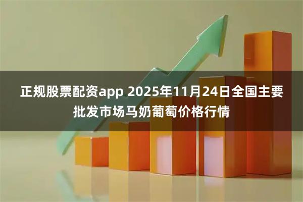 正规股票配资app 2025年11月24日全国主要批发市场马奶葡萄价格行情