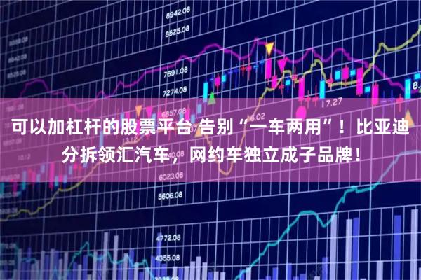 可以加杠杆的股票平台 告别“一车两用”！比亚迪分拆领汇汽车，网约车独立成子品牌！
