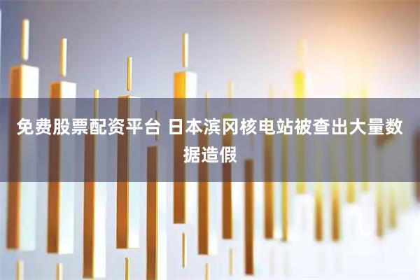 免费股票配资平台 日本滨冈核电站被查出大量数据造假